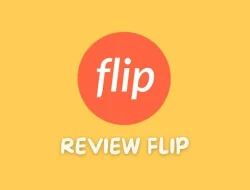 review flip terbaru